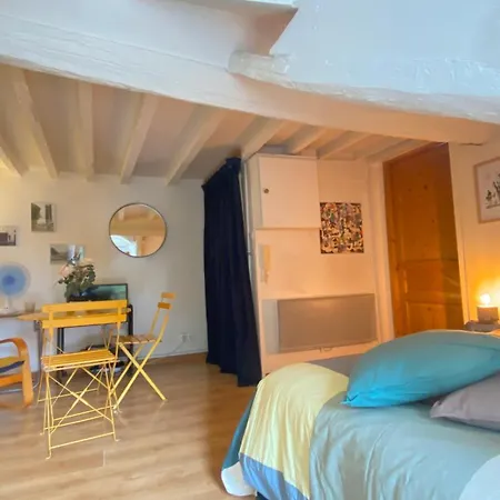 Charmant Studio Parisien
