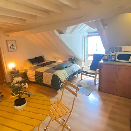 Charmant Studio Parisien Daire